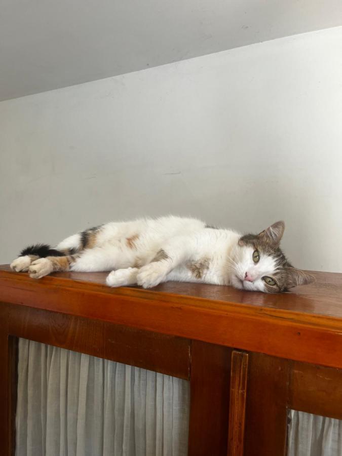 Le Mazet De Choubouloute Bed & Breakfast Saint-Gilles  Bagian luar foto